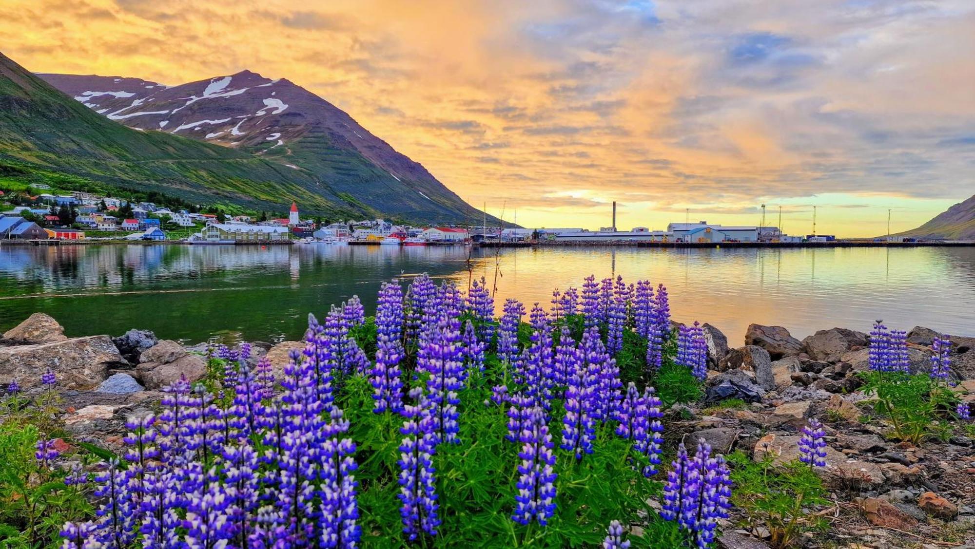 Landakot The Perfect Getaway By Staynorth Siglufjordur Zewnętrze zdjęcie